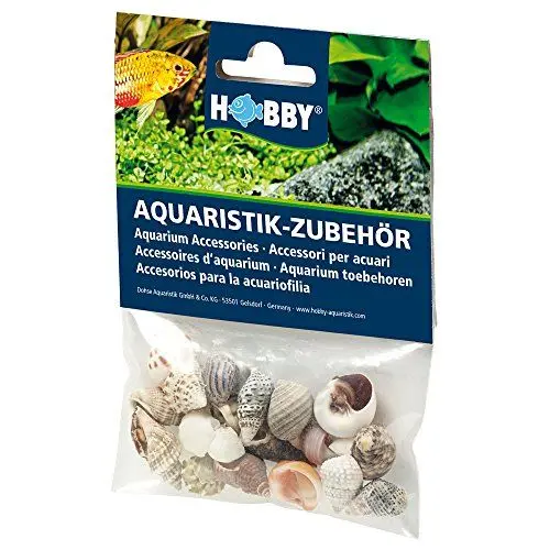 Produktbild: Hobby 40221 Sea Shells Set, S