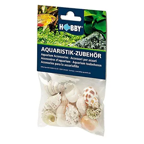 Produktbild: Hobby 40222 Sea Shells Set, M, M, 10 Stück