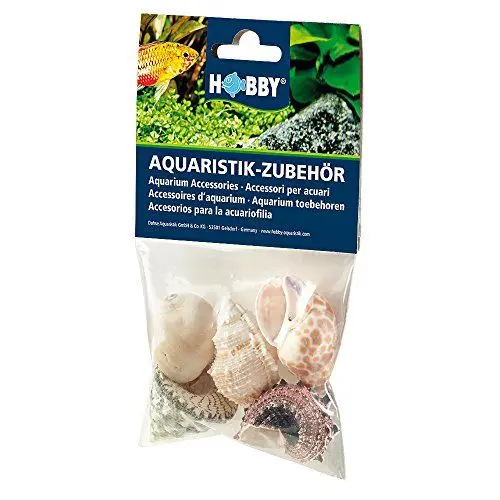 Produktbild: HOBBY Aquaristik Sea Shell Set L I 5 Stück I natürliche Schneckenhäuser zur Dekoration von Aquarien, Terrarien uvm I nachhaltige und umweltfreundliche Aquarium Deko I echte Muscheln