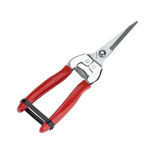 Produktbild: Gartenschere, Feinpolieren Gartengeräte Set Gartenschere Gartenschere Obstschere Edelstahl Gartenschere Gartenschere für Gemüse(Gerader Kopf)