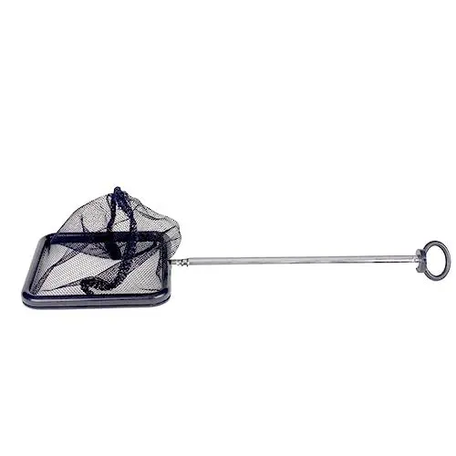 Produktbild: Hohopeti Ergonomisches Design Teleskop-garnelennetz Aus Edelstahl Ohne Griff Einfach Zu Verwendende Fischnetze Für Wassergarnelen