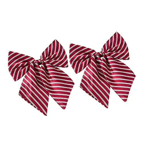 Produktbild: Holibanna Verstellbare Abschlussfliegen Mit Schnalle – 2er-set – Abschlussanzug-zubehör – Unisex-foto-requisiten
