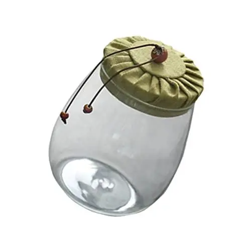 Produktbild: HOLIDYOYO Aus Glas Aufbewahrungsbehälter Für Lebensmittel Süßigkeitenbehälter Milliliter-behälter Bonbongläser Aufbewahrungshalter Für Trockenfrüchte Mülleimer Spielzeug Hölzern