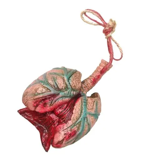 Produktbild: HOLIDYOYO Halloween Dekorationsrequisit Lebensechte Gefälschte Innereien Lungenstil Für Gruselige Halloween-Party- Aufhängen An Wänden Türen Oder Bäumen Hochwertiges Leichtes Material