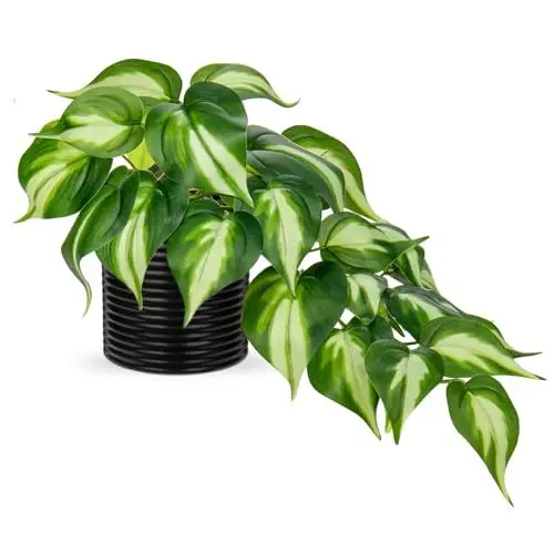 Produktbild: Hollyone Künstliche Pflanzen in Keramiktöpfen, Fake Jade Pothos Dekorative Pflanzen Künstlich in schwarzen Töpfen, Wie echte künstliche Pflanzen für Haus, Tisch, Büro, Schreibtisch Deko