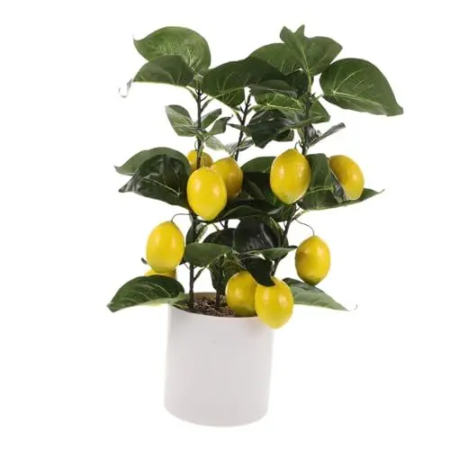Produktbild: HOMFAMINI Simulierter Zitronenbaum Künstliche Pflanze Dekor Büro Gefälschter Bonsai Nachahmung Von Bonsai Ornamenten Gefälschter Kleiner Bonsai Künstlicher Zitronenbaum Gefälschte