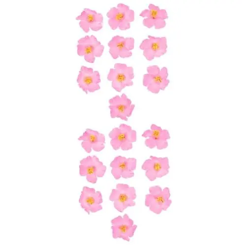 Produktbild: HOMSFOU 20 STK Künstliche Hibiskusblüte Hibiskus-tischblumen Gefälschte Rosa Stirnbänder Hawaiianische Kunstblume Hochzeitsgeschenke Blumendekor Eva Blütenblatt Bankett Schweinebraten