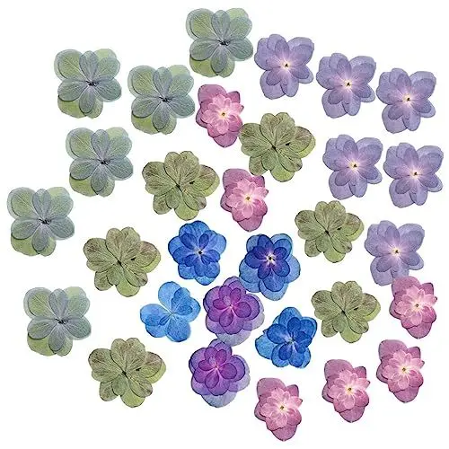 Produktbild: HOMSFOU 30 Stück Gepresste Trockenblumen Natürliche Echte Gepresste Hortensienblüten Mini-Bunte Handgefertigte Pflanzen Mit Blumenmuster Für Scrapbooking DIY Seife Handyhülle Kerze