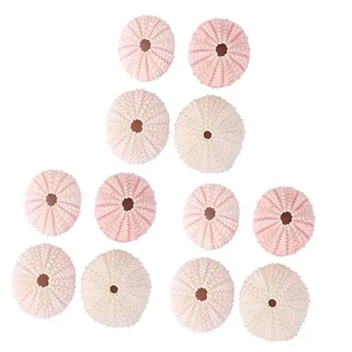 Produktbild: HOMSFOU Ornamente 12 Stück Wacholder Cz Mit Erdhängender Schale Niedliche Pflanzbehälter Desktop-Ananas Heimkeramik-Pflanzgefäße Schreibtisch Bonsai Aquarium Muscheln Sukkulenten