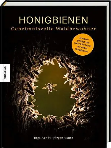 Produktbild: Honigbienen - geheimnisvolle Waldbewohner