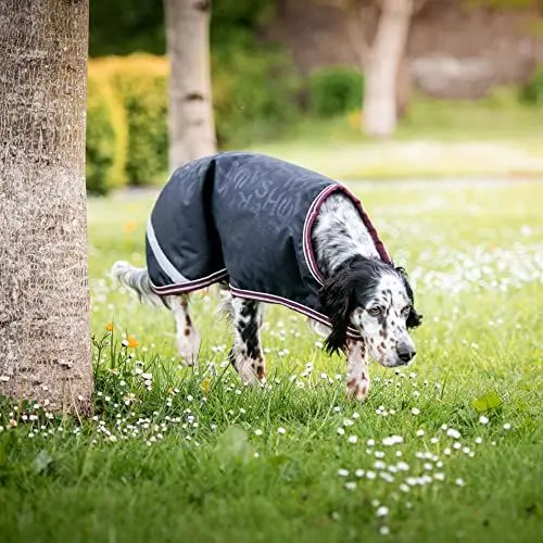 Produktbild: Horseware Hundedecke Amigo Ripstop