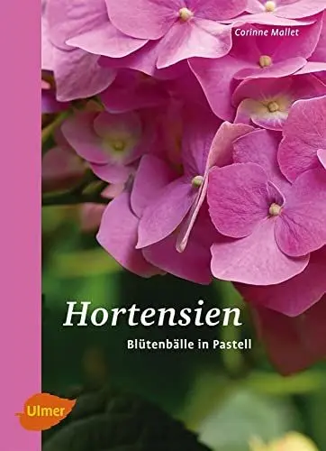 Produktbild: Hortensien: Blütenbälle in Pastell