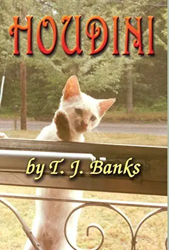 Produktbild: Houdini