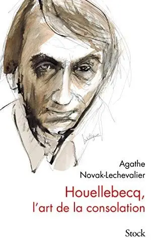 Produktbild: Houellebecq, l'art de la consolation