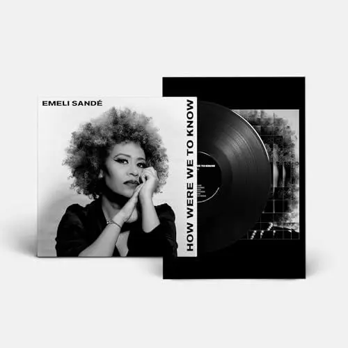 Produktbild: How Were We to Know (Vinyl LP)