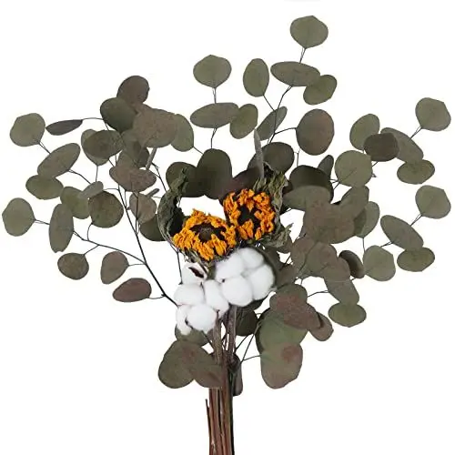 Produktbild: HUAESIN Getrocknete Blumen Baumwolle mit Eukalyptus Natürliche Trockenblumen Sonnenblumen Getrocknete Dekoblumen für Hochzeit Vase Zuhause Tischdeko Büro Party Foto DIY Dekoration