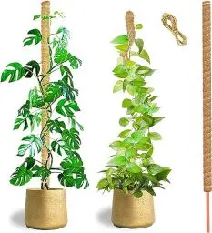Produktbild: HuiPoLii 1 Stück 125cm Kokosfaser Monstera Rankhilfe,Biegbare Monstera Rankhilfe,DIY-Form,Verwenden Sie Rankhilfe Zimmerpflanzen,Rankhilfe,Moosstab