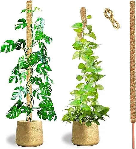 Produktbild: HuiPoLii 1 Stück 125cm Kokosfaser Monstera Rankhilfe,Biegbare Monstera Rankhilfe,DIY-Form,Verwenden Sie Rankhilfe Zimmerpflanzen,Rankhilfe,Moosstab