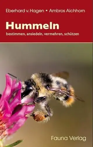 Produktbild: Hummeln: bestimmen, ansiedeln, vermehren, schützen