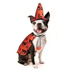 Produktbild: Hund Halloween Kostüme - Haustier Zauberer Kostümumhang mit Hexenhut Welpe Katze Halloween Kleidung Outfits