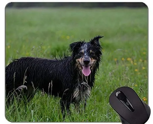 Produktbild: Hund, der Schäferhund-Tierbild-Mausunterlage, Border-Collie-Mausunterlagen Laufen lässt
