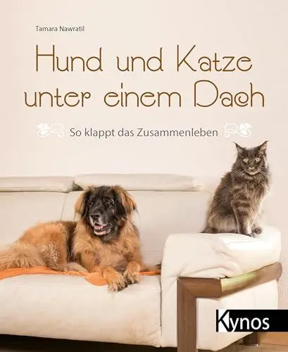 Produktbild: Hund und Katze unter einem Dach: So klappt das Zusammenleben