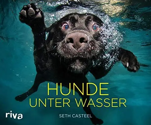 Produktbild: Hunde unter Wasser