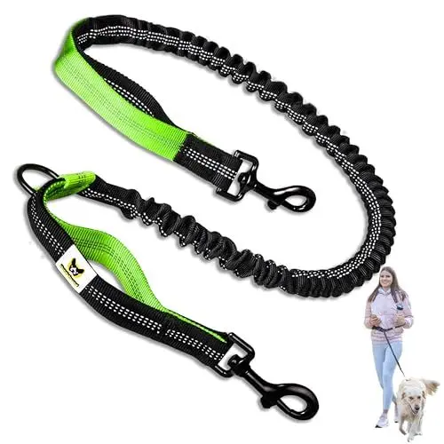 Produktbild: Hundefreund Bungeeteil für Joggingleine - 120 cm Ersatzleine mit elastischem Gummizug und 2 Schlaufen - Verlängerung für Hundeleine (Grün)