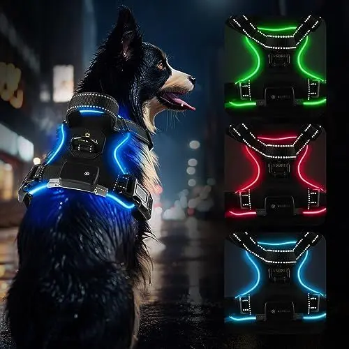 Produktbild: MASBRILL Hundegeschirr Leuchtend Aufladbar, LED Hundegeschirr Verstellbar Reflektierend mit Griff, Weich Gepolstert Beleuchtete Brustgeschirr für Kleine, Mittlere Große Hunde Leucht Geschirr(Blau XL)
