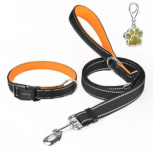 Produktbild: Hundehalsband Gepolstert Reflektierendes Halsband Hunde Einstellbar Neopren Nylon Hundehalsbänder für kleine mittlere große Hunde, Orange, S (30-40cm)