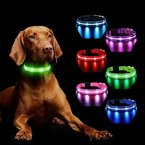 Produktbild: Hundehalsband Leuchtend Aufladbar, Leuchthalsband Hund 7 RGB Farbwechsel mit 8 Leuchtmodi, Verstellbare LED HundeHalsband Wasserdicht für Kleine Mittlere Große Hunde Leuchtendes Halsband, Grün M