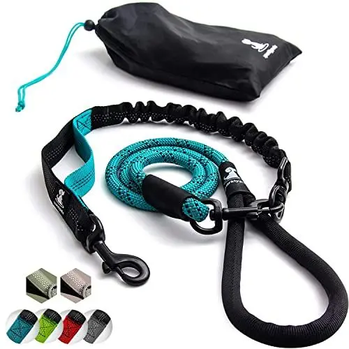 Produktbild: Hundeleine mit Bungee Verlängerung für Große und Mittelgroße Hunde mit Ruckdämpfer | Reflektierende Elastische Hundeleine zum Spazierengehen (Türkisgrün, Für 1 Hund)