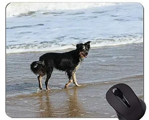 Produktbild: YENDOSTEEN Hundeschäferhund-Schäferhund-Natur-Tier-Mausunterlage, Border-Collie-Büro-Mausunterlage