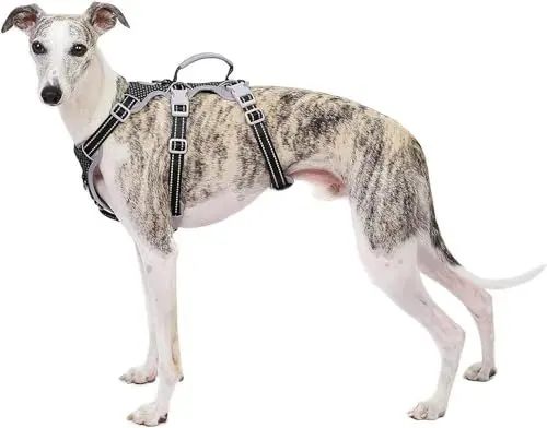 Produktbild: Huntboo Ausbruchsicheres Hundegeschirr, Sicherheitsgeschirr für Hunde, Vollständig Reflektierendes Geschirr mit Griff, Atmungsaktiv, Verstellbare Weste für Kleine Hunde, die Gehen (Schwarz, S)
