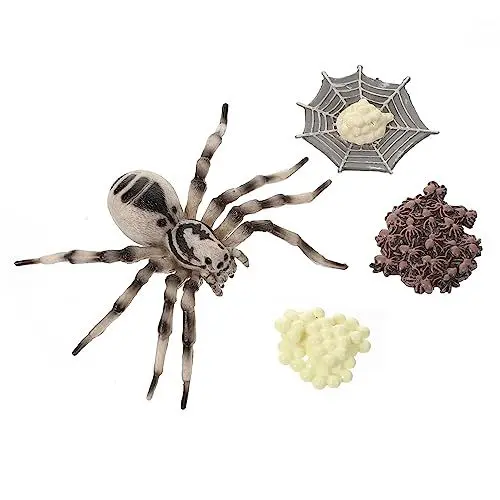 Produktbild: ibasenice 1 Satz Kognitives Modell des Lebens Spielzeug Tarantula-Display-Modell Simulation Tarantula-Modell Evolutionsmodell Vogelspinne-Modell Ausstellungsmodell Figurenmodell Plastik