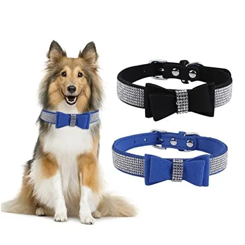 Produktbild: ibasenice 1 Stück Heiße Diamantbogenkette Hundehalsbänder für Hunde Name klein Hundehalsband Hundekragen Fliege Kätzchenkragen Hunde Krawatten Halsband für Haustiere Blau