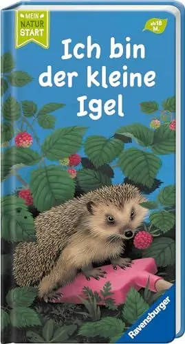 Produktbild: Ich bin der kleine Igel