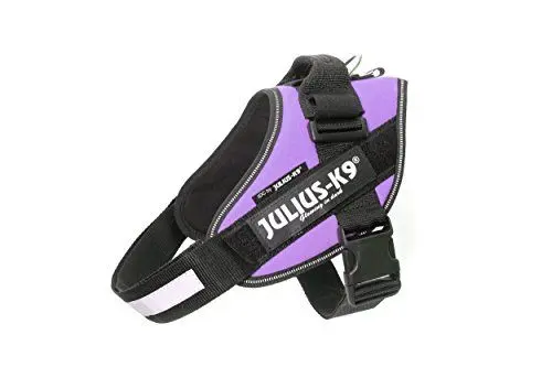 Produktbild: JULIUS K-9 IDC Powergeschirr, Größe: M / 0, Lila, 16IDC-PR-0