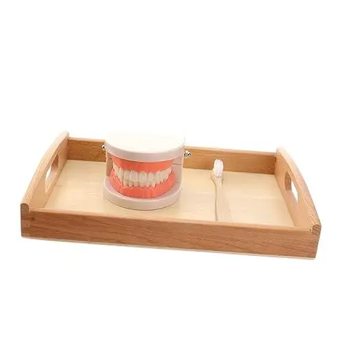 Produktbild: ifundom 1 Set Kinder Bürstenlehre Zahnlehre Modell Kidcraft Spielset Elmo Plüsch Waschen Gurgeln Spielzeug Mit Kindern Rollenspielspielzeug Kleinkindspielzeug Lernspielzeug Aus Holz