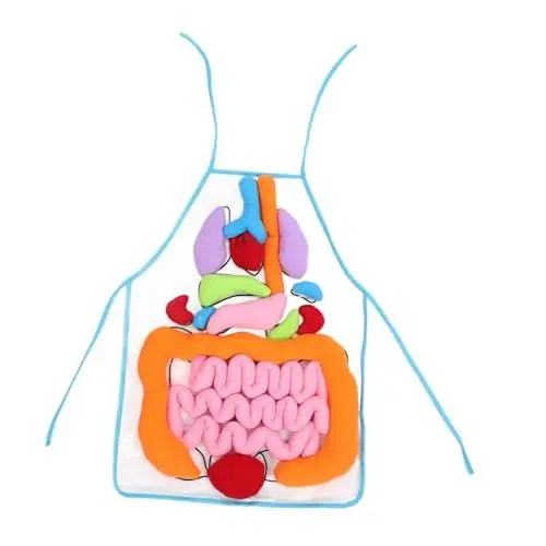 Produktbild: ifundom 2 Sätze Orgelschürze 3D-Schürzenspielzeug Kinderschürzen Stethoskope Kinderspielzeug sportgel The pe Kinder Lernen Schürze 3D Organe Schürze des menschlichen Körpers Polyester