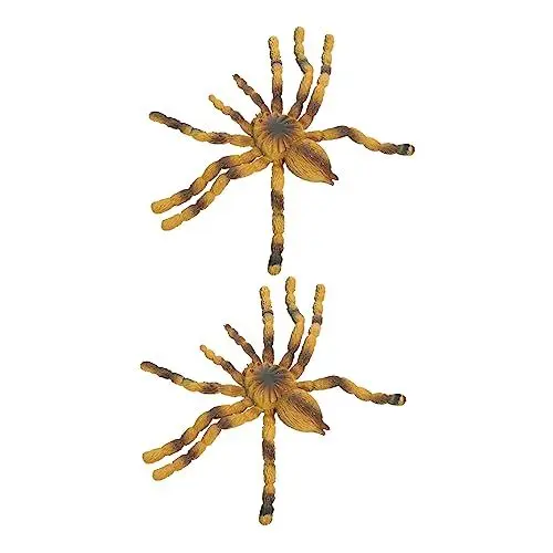 Produktbild: ifundom 2st Modell Eines Insektenexemplars Dekoratives Spinnenspielzeug Vogelspinne-Modell Pädagogisches Spinnenmodell Dekoratives Vogelspinnmodell Simulationsspinnenmodell PVC