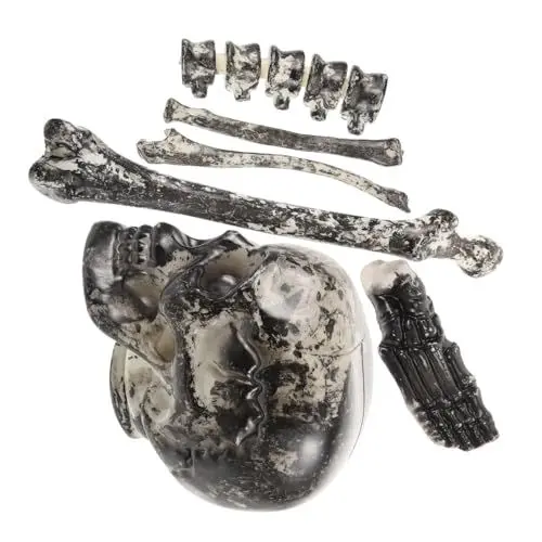 Produktbild: ifundom 6st Skelettstütze Schädel Halloween-heimdekorationen Skelett Knochen Halloween Dekoration Beutel Mit Knochen Halloween-Requisiten Indoor-Spielzeug Klein Lose Knochen Draussen