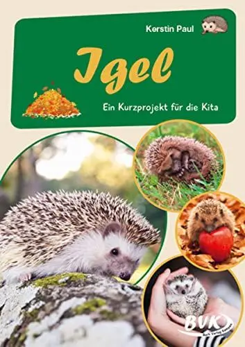 Produktbild: Igel: Ein Kurzprojekt für die Kita (Kita-Kurzprojekte) (BVK-Kurzprojekte)