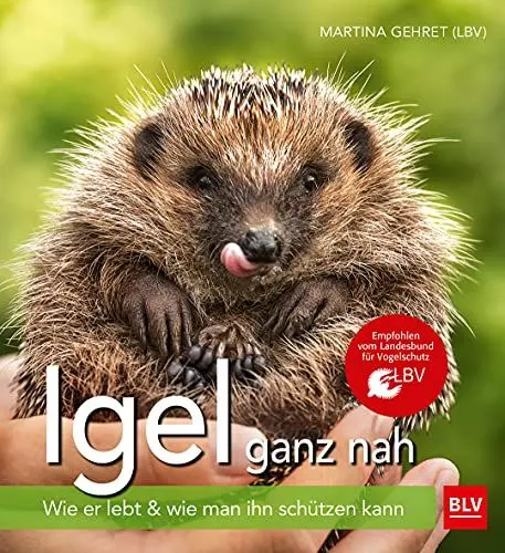 Produktbild: Igel ganz nah: Wie er lebt & wie man ihn schützen kann (BLV Natur)