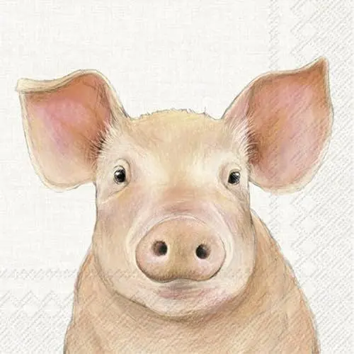 Produktbild: IHR Ideal Home Range - Papierservietten FARM PIG cream - Schwein 20 St. Lunch-Servietten 33 cm x 33 cm