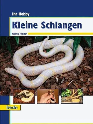 Produktbild: Ihr Hobby Kleine Schlangen