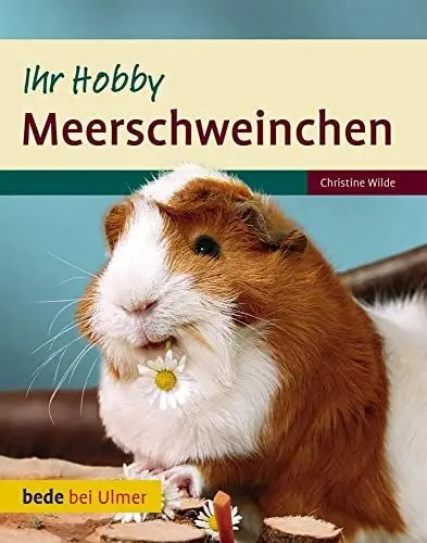 Produktbild: Ihr Hobby Meerschweinchen