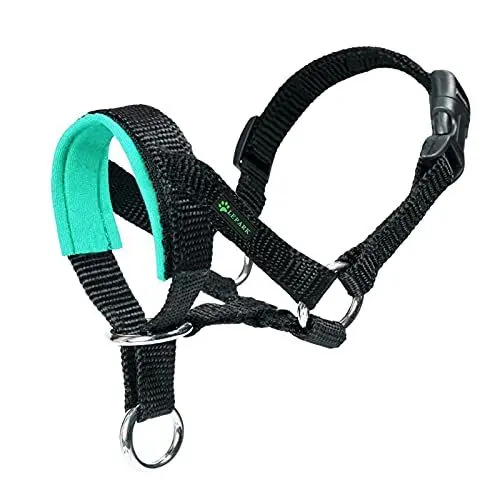 Produktbild: Hundehalfter Mit Gepolstertem Stoff, Halfterhalsband Für Hunde, Verstellbar Und Ziehen verhindert. (S,Grün)