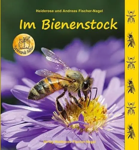 Produktbild: Im Bienenstock (Spannende Natur)