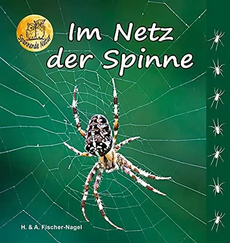 Produktbild: Im Netz der Spinne